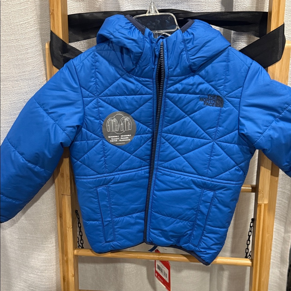 The North Face Vibrant Blue Hooded Jacket